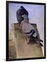 Pigeons on the Roof-Joseph Crawhall-Framed Giclee Print