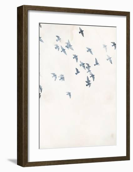 Pigeons Sky-Design Fabrikken-Framed Art Print