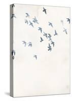 Pigeons Sky-Design Fabrikken-Stretched Canvas