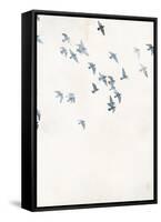 Pigeons Sky-Design Fabrikken-Framed Stretched Canvas