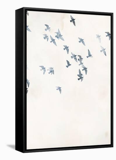 Pigeons Sky-Design Fabrikken-Framed Stretched Canvas