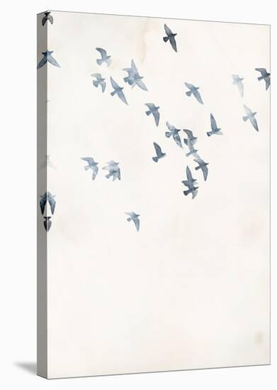 Pigeons Sky-Design Fabrikken-Stretched Canvas