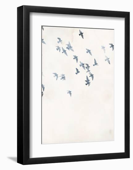 Pigeons Sky-Design Fabrikken-Framed Art Print