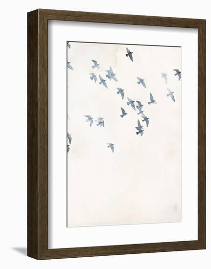 Pigeons Sky-Design Fabrikken-Framed Art Print