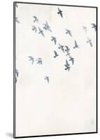 Pigeons Sky-Design Fabrikken-Mounted Art Print
