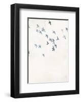 Pigeons Sky-Design Fabrikken-Framed Art Print