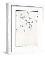 Pigeons Sky-Design Fabrikken-Framed Art Print