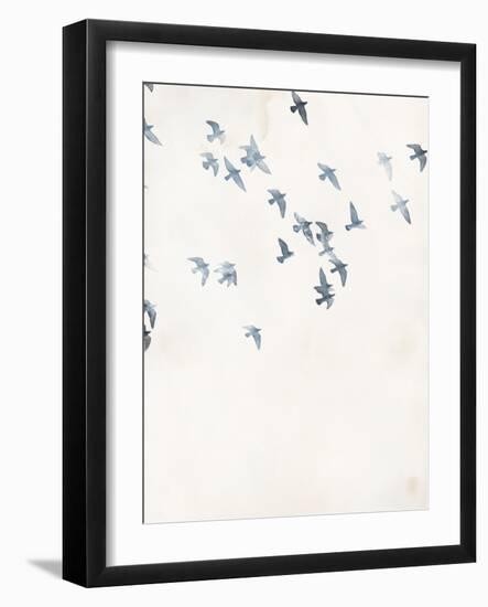 Pigeons Sky-Design Fabrikken-Framed Art Print