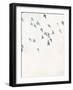 Pigeons Sky-Design Fabrikken-Framed Art Print