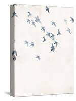 Pigeons Sky-Design Fabrikken-Stretched Canvas