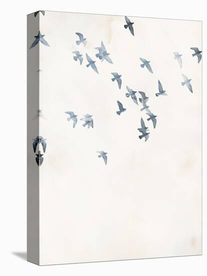 Pigeons Sky-Design Fabrikken-Stretched Canvas