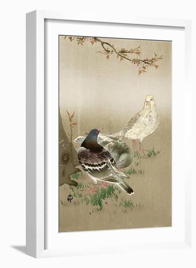 Pigeons under Cherry Tree-Koson Ohara-Framed Giclee Print