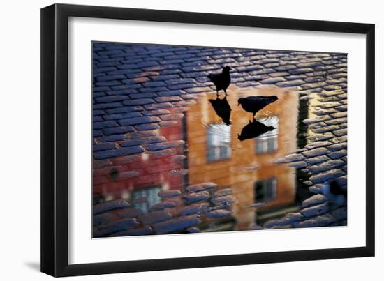 Pigeons-Allan Wallberg-Framed Giclee Print