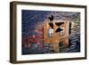 Pigeons-Allan Wallberg-Framed Giclee Print