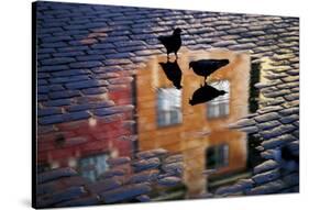 Pigeons-Allan Wallberg-Stretched Canvas