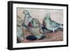 Pigeons-Carolyn Hubbard-Ford-Framed Premium Giclee Print