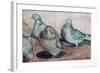 Pigeons-Carolyn Hubbard-Ford-Framed Giclee Print