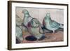 Pigeons-Carolyn Hubbard-Ford-Framed Giclee Print