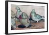 Pigeons-Carolyn Hubbard-Ford-Framed Giclee Print