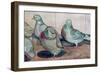 Pigeons-Carolyn Hubbard-Ford-Framed Giclee Print