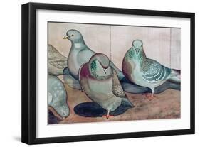 Pigeons-Carolyn Hubbard-Ford-Framed Giclee Print