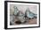 Pigeons-Carolyn Hubbard-Ford-Framed Giclee Print