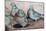 Pigeons-Carolyn Hubbard-Ford-Mounted Giclee Print