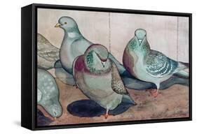 Pigeons-Carolyn Hubbard-Ford-Framed Stretched Canvas