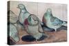 Pigeons-Carolyn Hubbard-Ford-Stretched Canvas