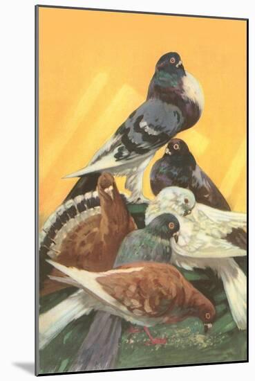 Pigeons-null-Mounted Art Print