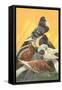 Pigeons-null-Framed Stretched Canvas