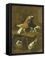 Pigeons-Jacomo Victors-Framed Stretched Canvas