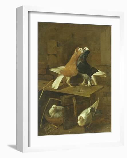 Pigeons-Jacomo Victors-Framed Giclee Print
