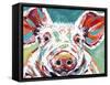 Piggy II-Carolee Vitaletti-Framed Stretched Canvas