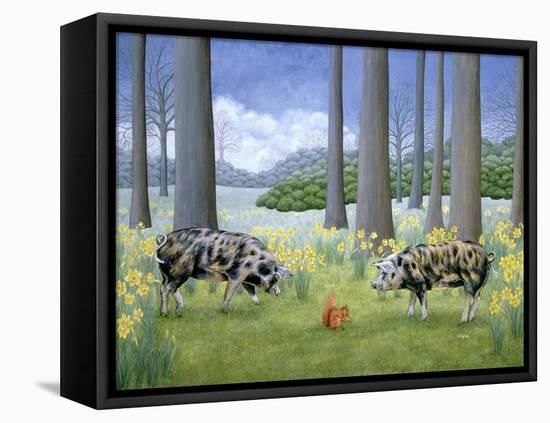 Piggy in the Middle-Ditz-Framed Stretched Canvas