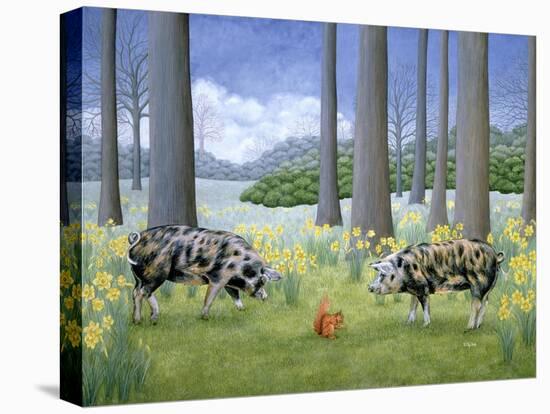 Piggy in the Middle-Ditz-Stretched Canvas