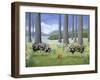 Piggy in the Middle-Ditz-Framed Giclee Print