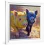 Piggy Pals-Rita Kirkman-Framed Art Print