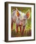 Piggy-Rita Kirkman-Framed Art Print
