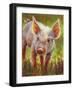 Piggy-Rita Kirkman-Framed Art Print