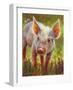 Piggy-Rita Kirkman-Framed Art Print