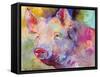 Piggy-Richard Wallich-Framed Stretched Canvas