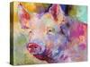 Piggy-Richard Wallich-Stretched Canvas