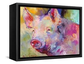 Piggy-Richard Wallich-Framed Stretched Canvas