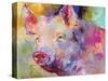 Piggy-Richard Wallich-Stretched Canvas