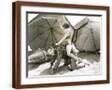 Brown Frame