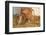 Piglet in Straw, Findlay, Ohio, USA-Lynn M^ Stone-Framed Photographic Print