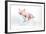 Piglet Laying in Deckchair-null-Framed Photographic Print