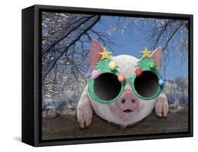 Piglet Looking over Fence Wearing Christmas-null-Framed Stretched Canvas