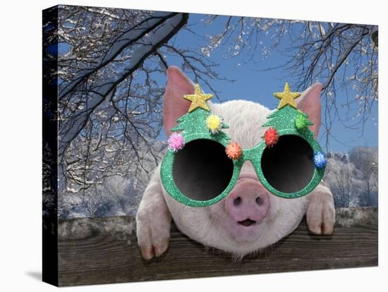 Piglet Looking over Fence Wearing Christmas-null-Stretched Canvas